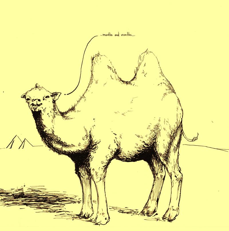 months and months / between its humps